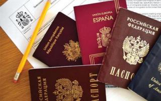 Rusijos pilietybės įgijimo ir nutraukimo pagrindai ir tvarka